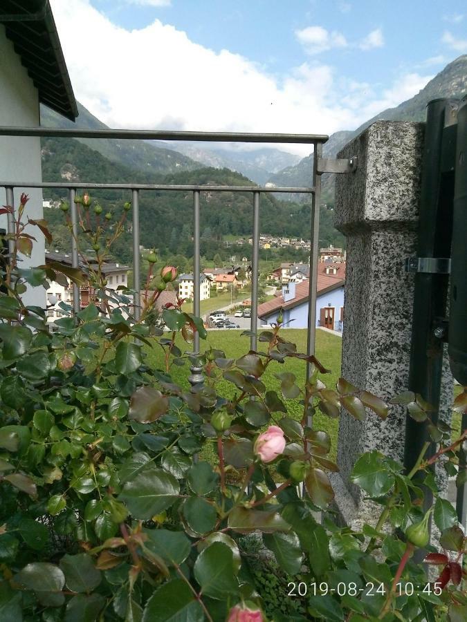 Apartment La Beccaccia *